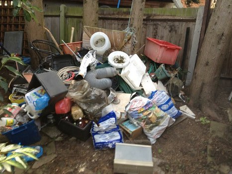 Professional clearing garden debris